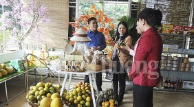 Nghệ An: Thêm mô hình điểm bán hàng Việt Nam