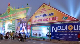 Hội chợ 