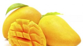 Bài thuốc chữa bệnh hiệu quả từ quả xoài