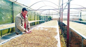 Hàng Việt rộng cửa vào thị trường Trung Đông
