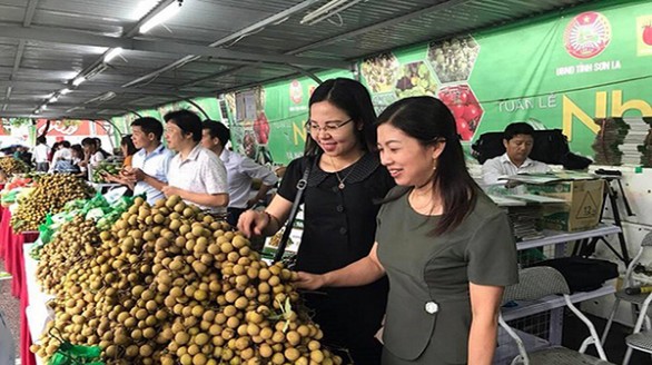 Đón cơ hội xuất khẩu sang Australia