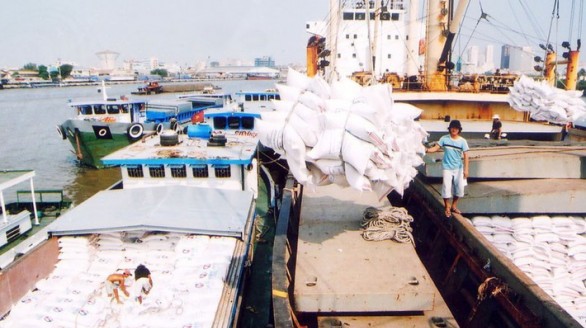 Bộ Nông nghiệp muốn tập trung xuất khẩu gạo thơm, gạo nếp
