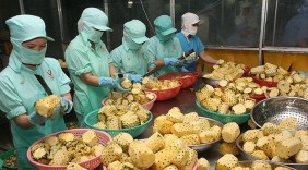 Tiếp cận thị trường Dubai: Cơ hội xuất khẩu sang Trung Đông, châu Phi