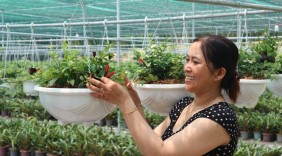 Nữ tỷ phú khởi nghiệp thành công từ hoa kiểng