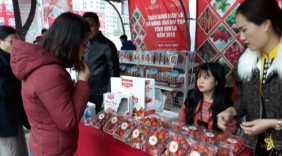 Tuần hàng dâu tây Sơn La tại Hà Nội