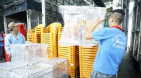 Qui Phúc tung hơn một triệu sản phẩm dịp Tết