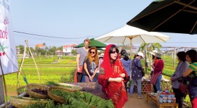 Về quê khởi nghiệp