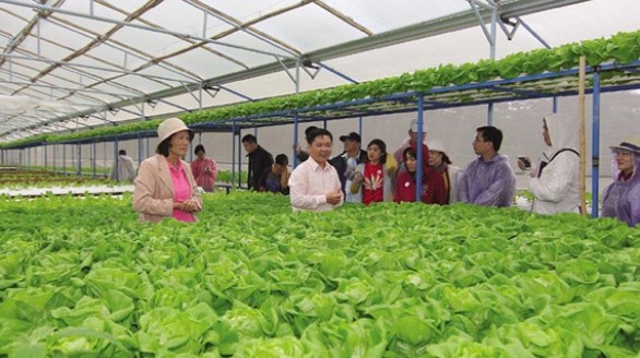 “Chắp cánh hàng Việt” Thống nhất cách làm, xây dựng tiêu chí cụ thể