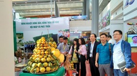 Đưa hàng Việt, hàng “made in Hà Tĩnh” đến với người tiêu dùng