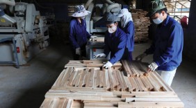 Gia tăng liên kết sản xuất, chế biến gỗ