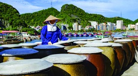 Sản phẩm Việt cần sự đa dạng