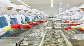 Chủ động mở rộng thị trường xuất khẩu
