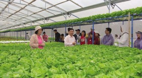 “Chắp cánh hàng Việt” Thống nhất cách làm, xây dựng tiêu chí cụ thể
