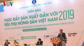 Đẩy mạnh tiêu thụ nông sản tại thị trường nội địa