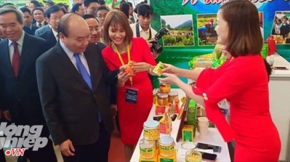Sản phẩm từ nghệ Bắc Kạn được bán đi khắp thế giới