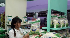Nâng vị thế hạt gạo Việt Nam