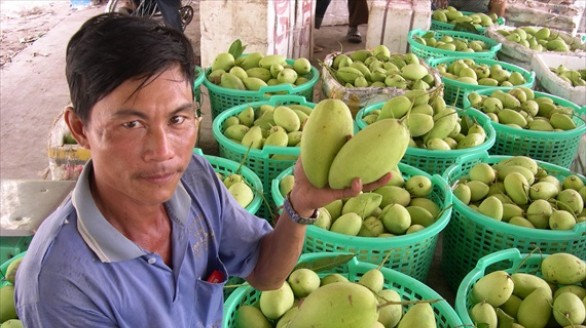 Liên kết, xuất khẩu bền vững trái cây Việt