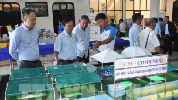 Xây dựng thương hiệu tôm Việt trên thị trường quốc tế