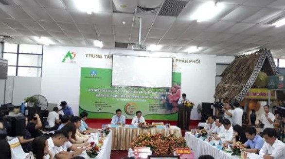 Tuần lễ vải thiều Lục Ngạn diễn ra từ ngày 7/6 đến 16/6