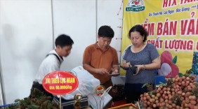 Vải thiều sạch Lục Ngạn xuống Thủ đô