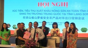 Hợp tác và kết nối xuất khẩu các sản phẩm nông sản