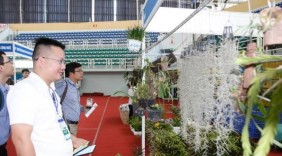 Khai mạc chuỗi hội chợ quốc tế chuyên ngành nông nghiệp