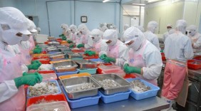 Xúc tiến đưa hàng Việt sang thị trường Nga
