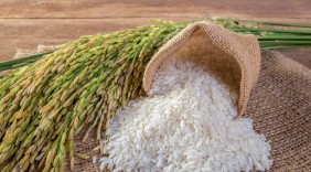 Cơ hội xuất khẩu gạo sang thị trường Senegal