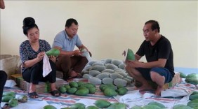 Sơn La mở rộng xuất khẩu xoài sang thị trường Anh
