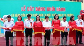 Xoài Sơn La khởi hành sang Mỹ, Anh, Australia và Trung Quốc
