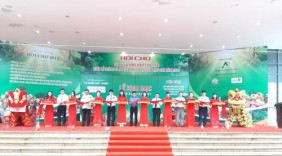 Khai mạc Tuần lễ quảng bá sản phẩm na Chi Lăng tại Hà Nội
