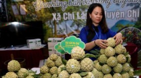 Saigon Co.op hỗ trợ đầu ra cho nông sản Việt