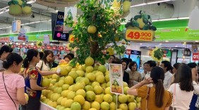 Bưởi Phúc Trạch cháy hàng tại Hà Nội