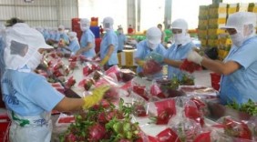Nâng cao giá trị nông sản trong thương mại hóa sản phẩm