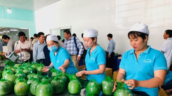 Đưa hàng Việt vào thị trường Thái