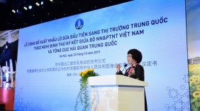 TH Milk xuất lô sữa đầu tiên sang thị trường Trung Quốc