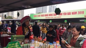 Nông sản Yên Bái đổ bộ về thị trường Thủ đô