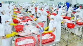Nhiều hỗ trợ cho doanh nghiệp Việt Nam xuất khẩu vào Mỹ