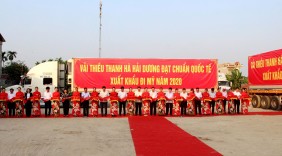 Lô vải thiều đầu tiên xuất khẩu sang Singapore, Mỹ, Australia