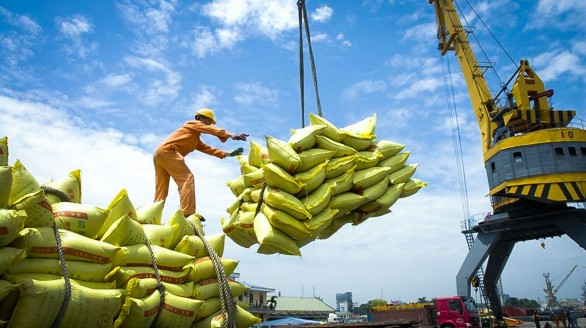 Covid-19 bủa vây, xuất khẩu gạo vẫn tăng gần 11%
