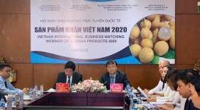 Giao thương trực tuyến: Cơ hội kinh doanh triển vọng cho trái nhãn Việt Nam