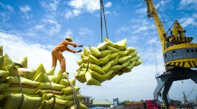 Covid-19 bủa vây, xuất khẩu gạo vẫn tăng gần 11%