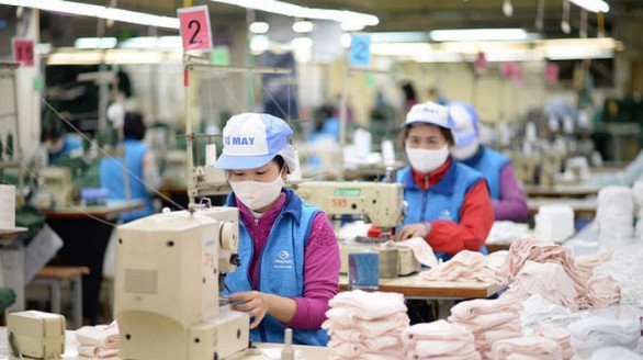 Cấp trên 7.200 bộ C/O sau 1 tháng thực thi EVFTA