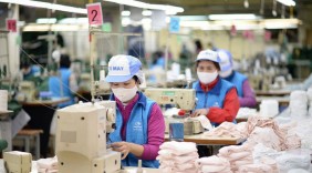 Cấp trên 7.200 bộ C/O sau 1 tháng thực thi EVFTA