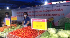 Siêu thị TP.HCM bán nông sản Hải Dương không lợi nhuận