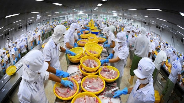 Xuất khẩu thủy sản sang các nước CPTPP tăng mạnh