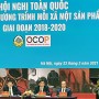 Xúc tiến thương mại chắp cánh cho sản phẩm OCOP
