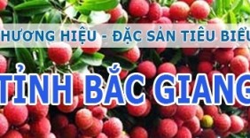 Bắc Giang - Hỗ trợ tiêu thụ sản phẩm địa phương thông qua Thương mại điện tử