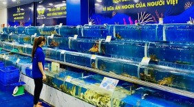 Cửa hàng hải sản xoay hướng để tồn tại