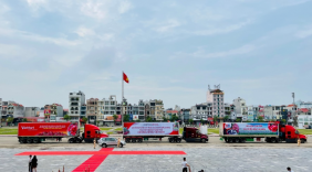 Siêu thị hợp tác cùng sàn thương mại điện tử chung tay hỗ trợ tiêu thụ vải thiều
